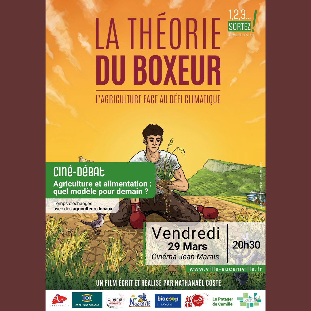 CULTURE - Ciné-débat / « La Théorie du boxeur »